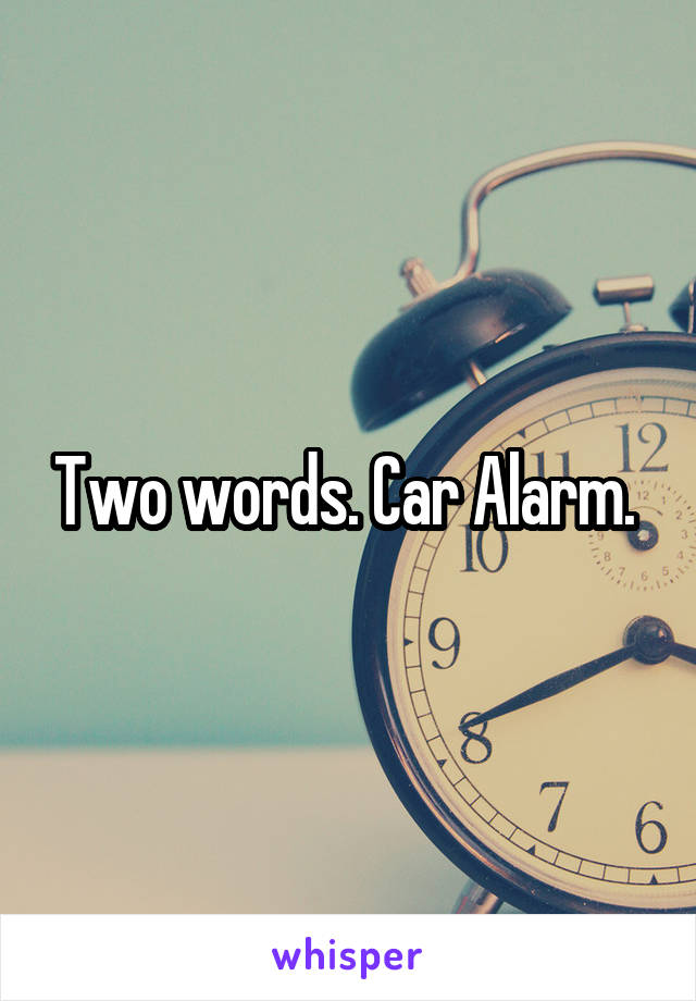 Two words. Car Alarm. 