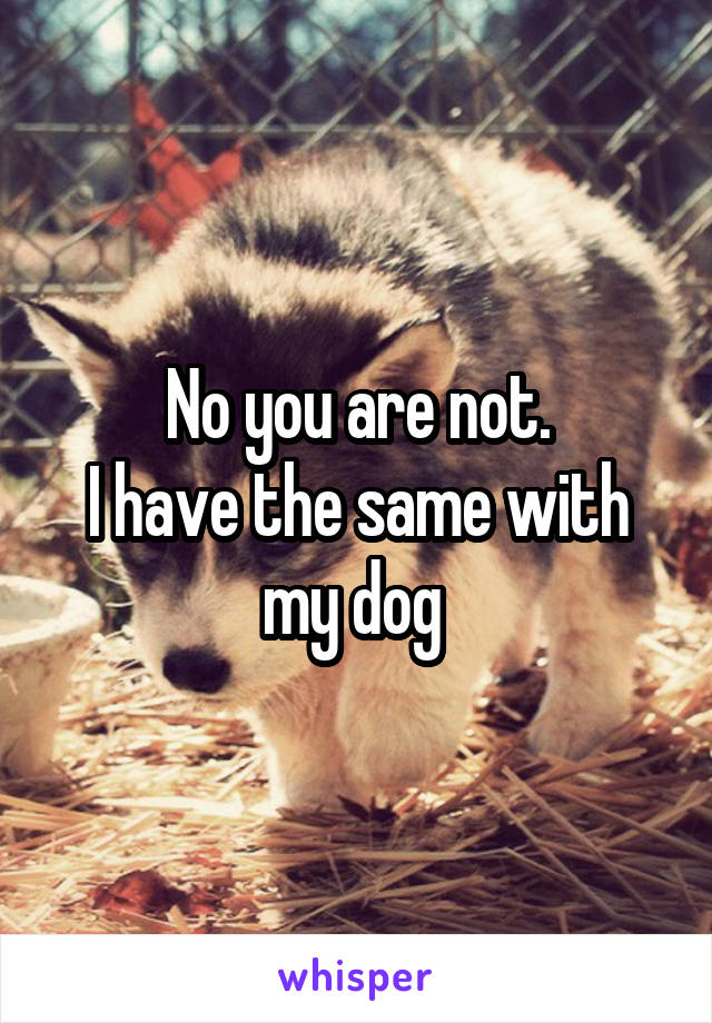 No you are not.
I have the same with my dog 