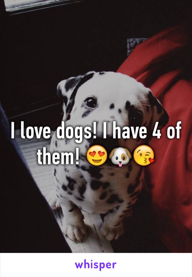 I love dogs! I have 4 of them! 😍🐶😘