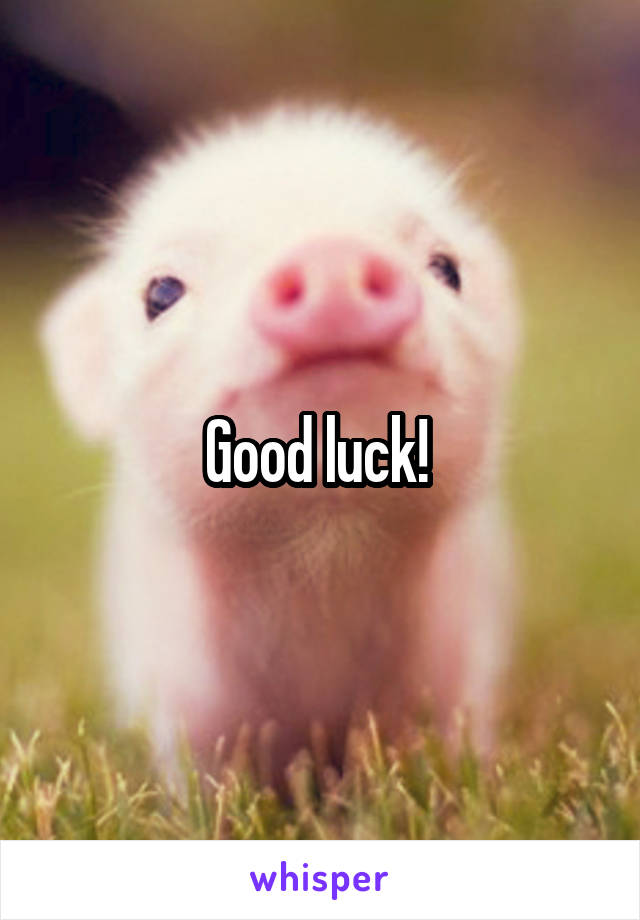 Good luck! 