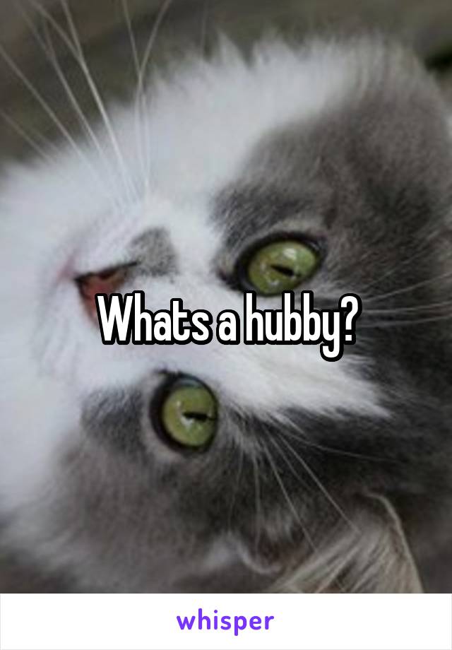 Whats a hubby?