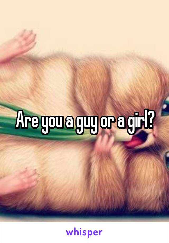 Are you a guy or a girl?