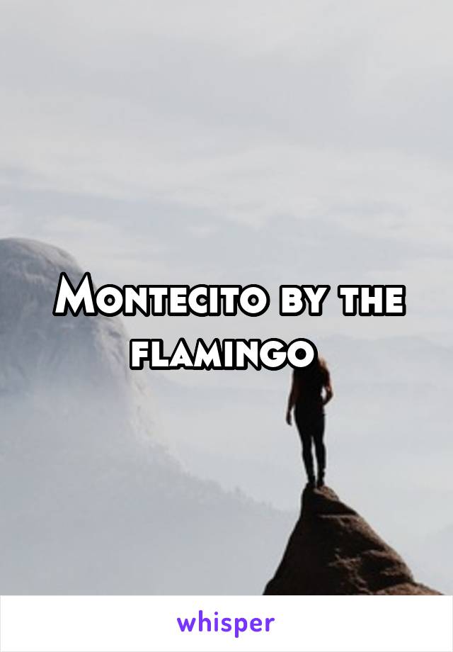 Montecito by the flamingo 