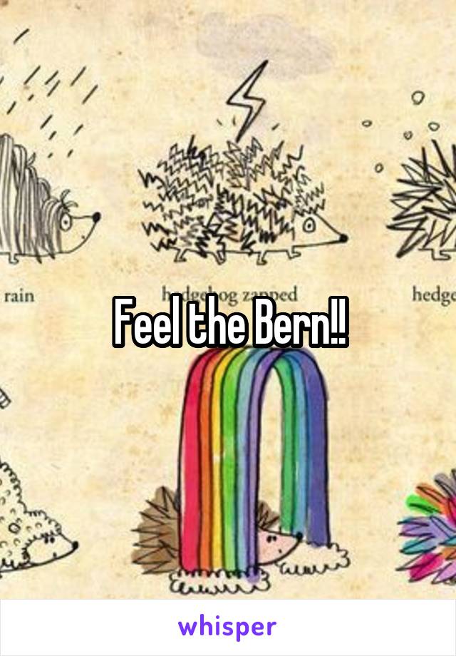 Feel the Bern!!