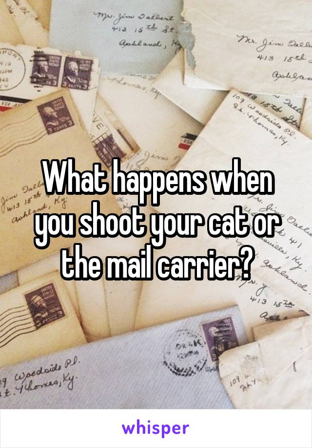 What happens when you shoot your cat or the mail carrier?