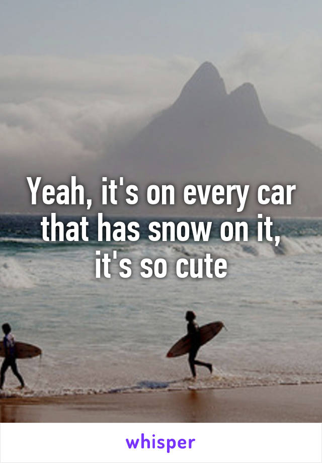 Yeah, it's on every car that has snow on it, it's so cute