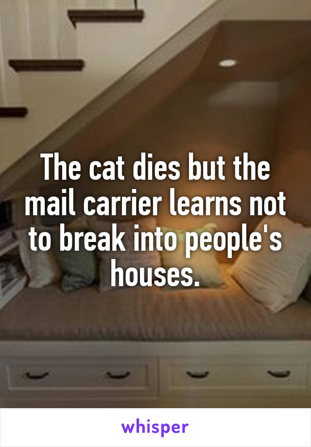 The cat dies but the mail carrier learns not to break into people's houses.