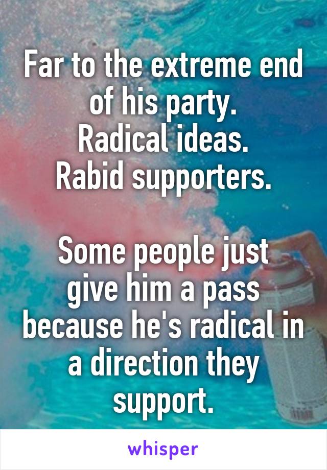 Far to the extreme end of his party.
Radical ideas.
Rabid supporters.

Some people just give him a pass because he's radical in a direction they support.