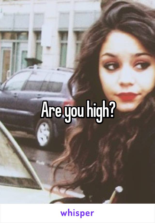 Are you high?