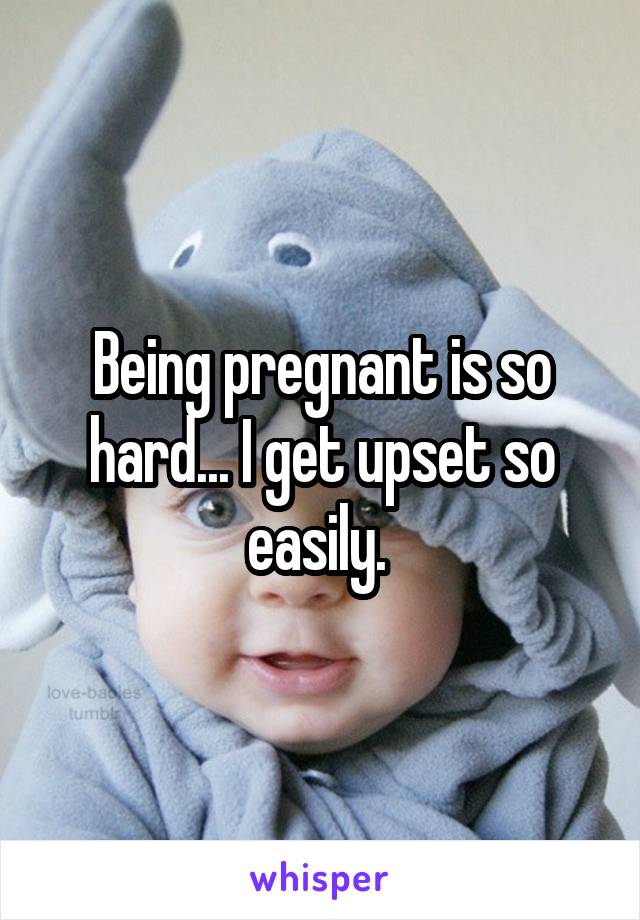 Being pregnant is so hard... I get upset so easily. 