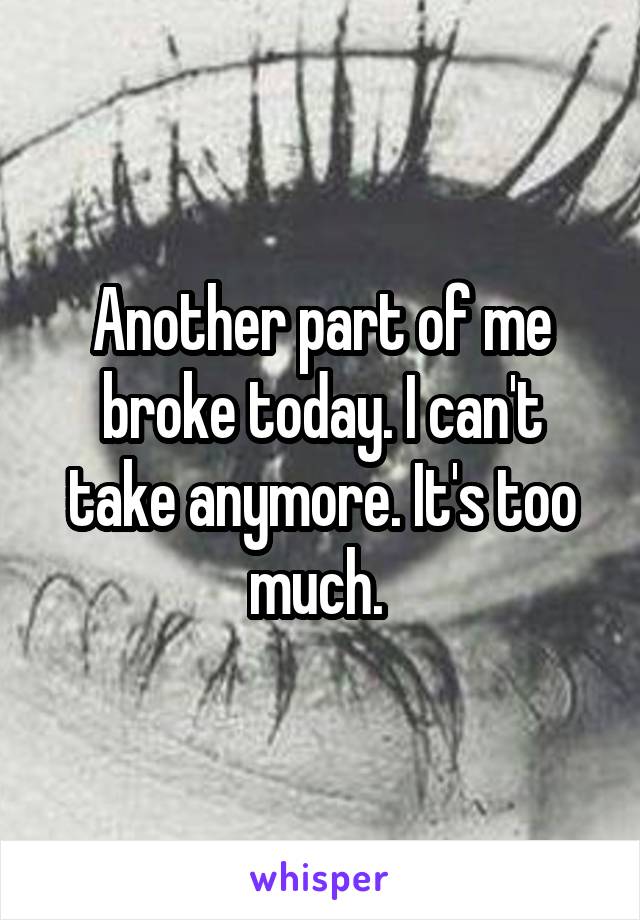 Another part of me broke today. I can't take anymore. It's too much. 