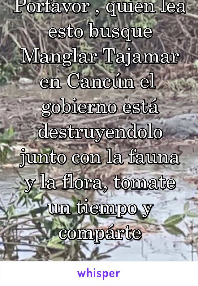 Porfavor , quien lea esto busque Manglar Tajamar en Cancún el 
gobierno está destruyendolo junto con la fauna y la flora, tomate un tiempo y compárte

