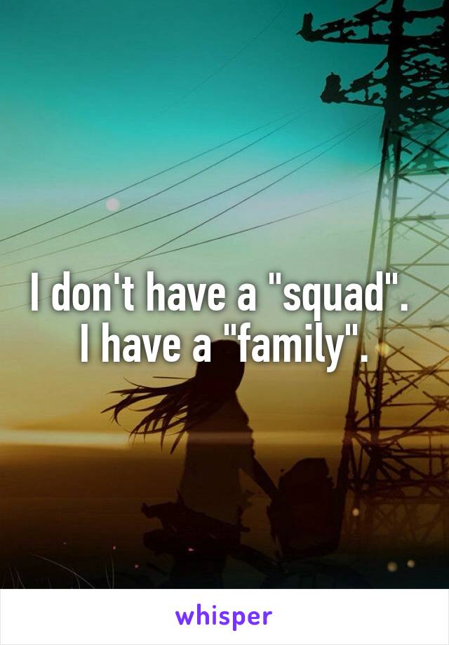 I don't have a "squad". 
I have a "family".