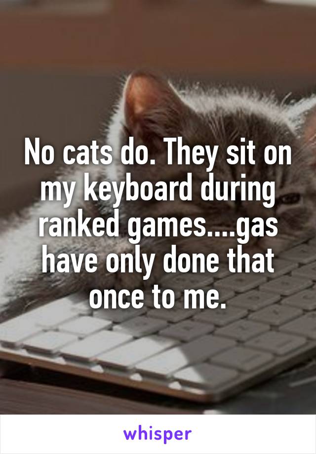 No cats do. They sit on my keyboard during ranked games....gas have only done that once to me.