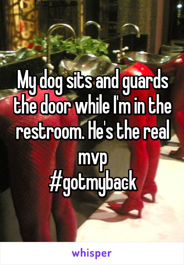 My dog sits and guards the door while I'm in the restroom. He's the real mvp
#gotmyback