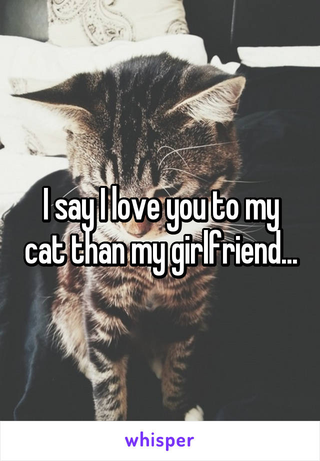 I say I love you to my cat than my girlfriend...