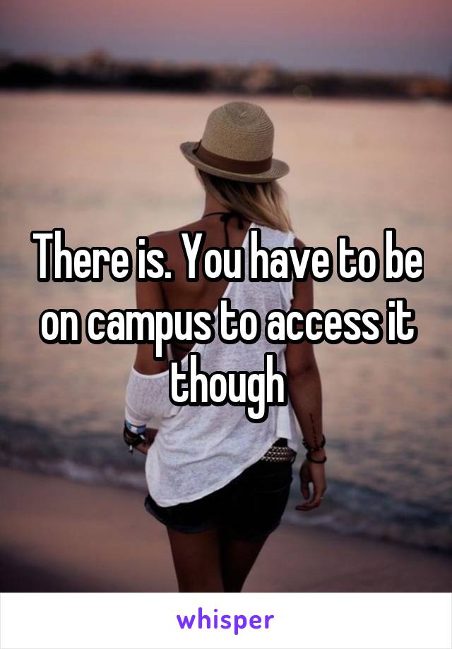 There is. You have to be on campus to access it though