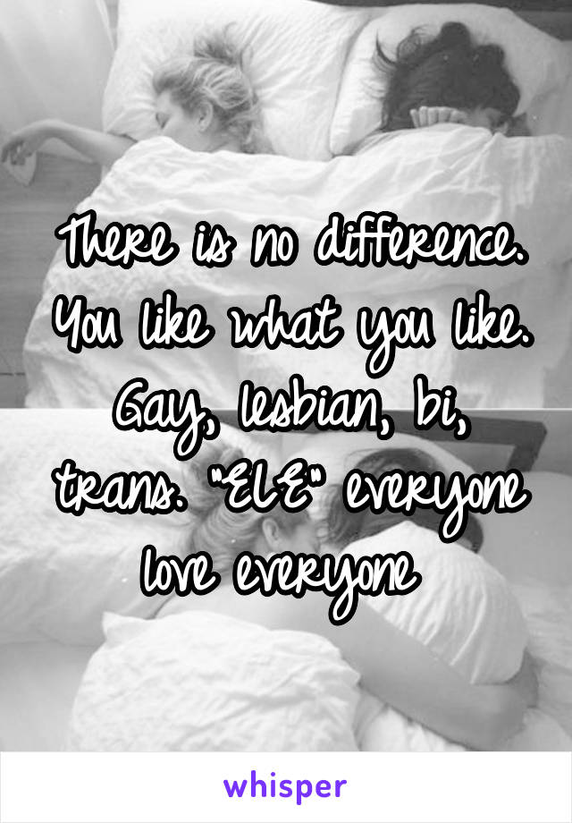 There is no difference. You like what you like. Gay, lesbian, bi, trans. "ELE" everyone love everyone 