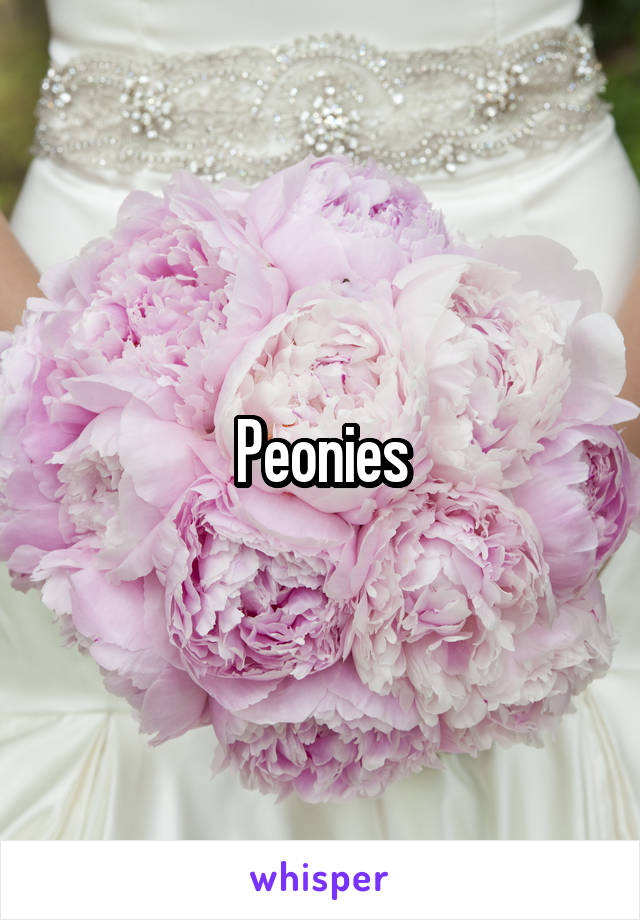 Peonies