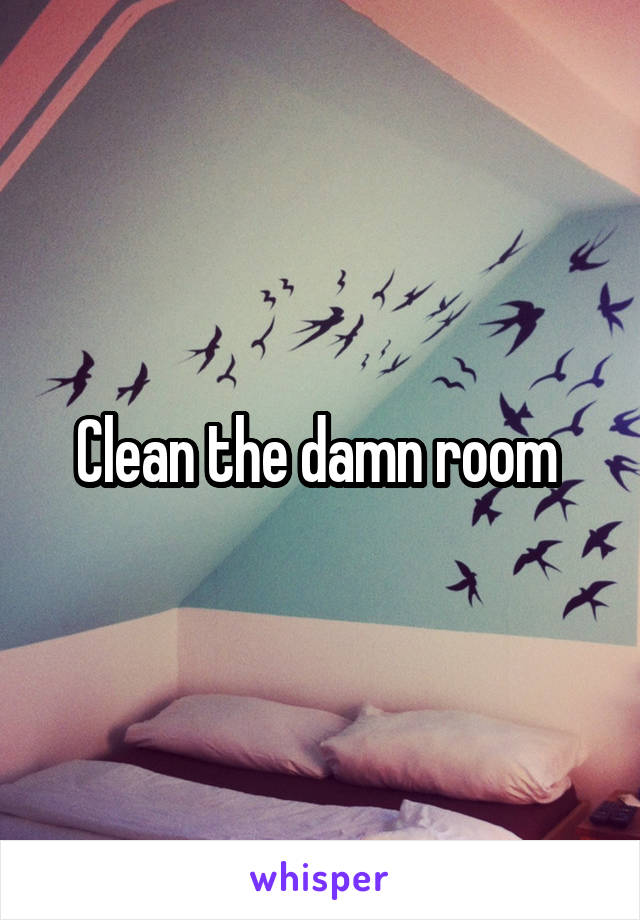 Clean the damn room 