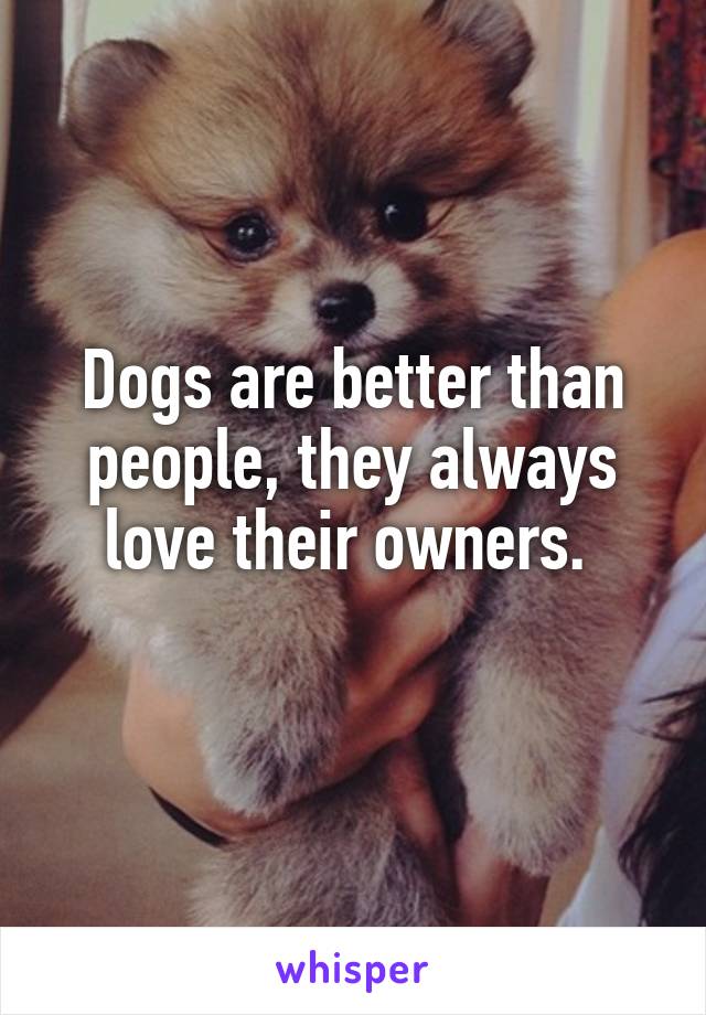 Dogs are better than people, they always love their owners. 
