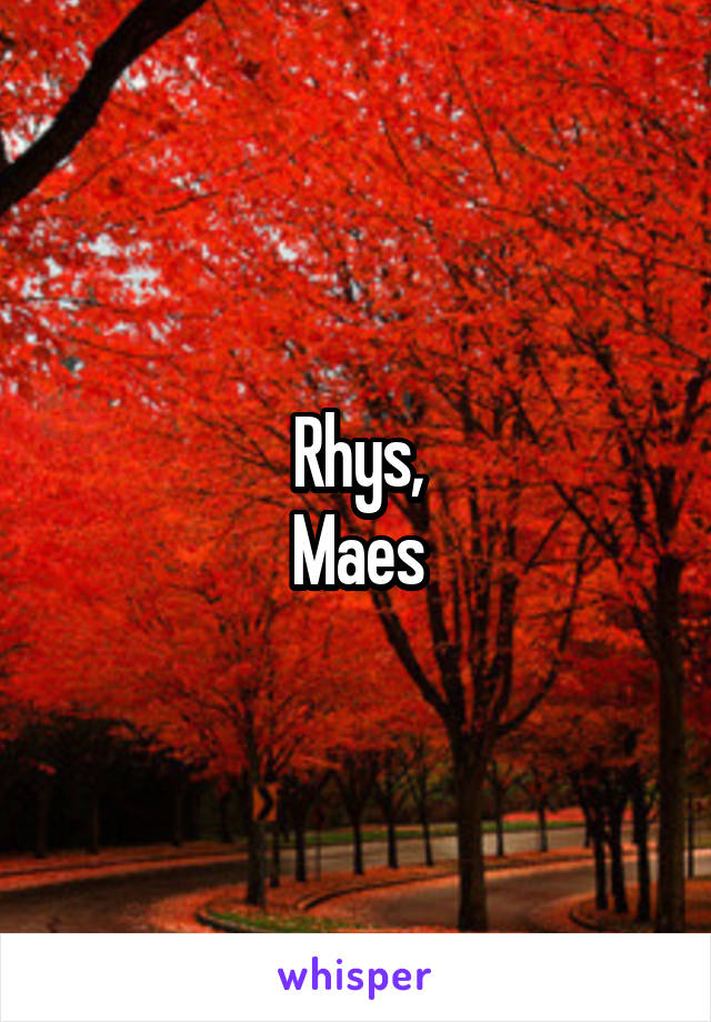 Rhys,
Maes