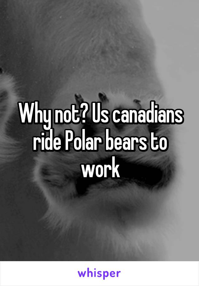 Why not? Us canadians ride Polar bears to work
