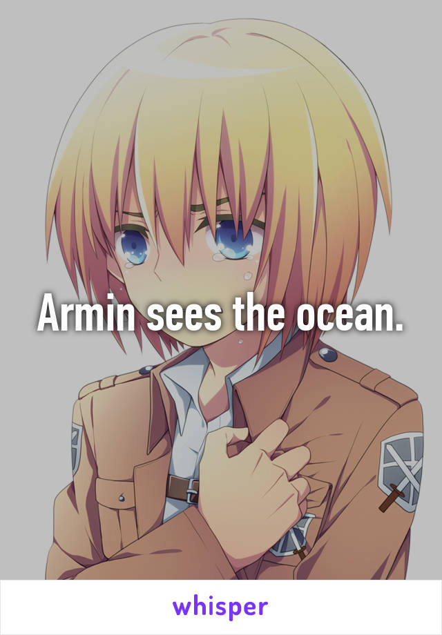 Armin sees the ocean.