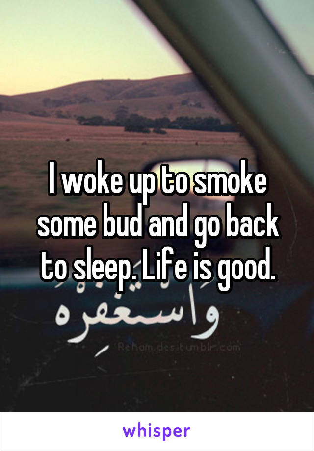 I woke up to smoke some bud and go back to sleep. Life is good.