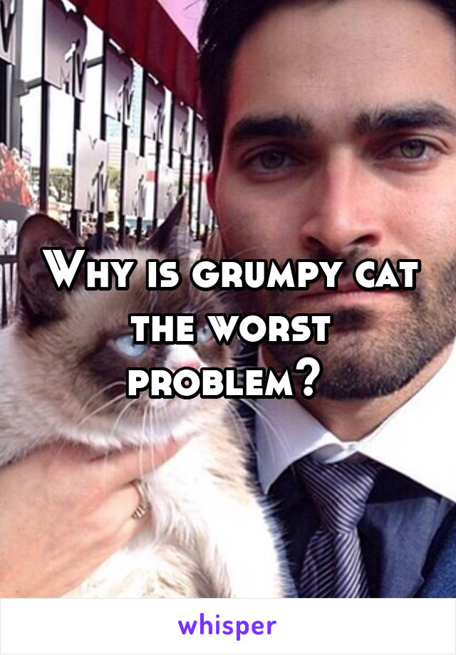 Why is grumpy cat the worst problem? 