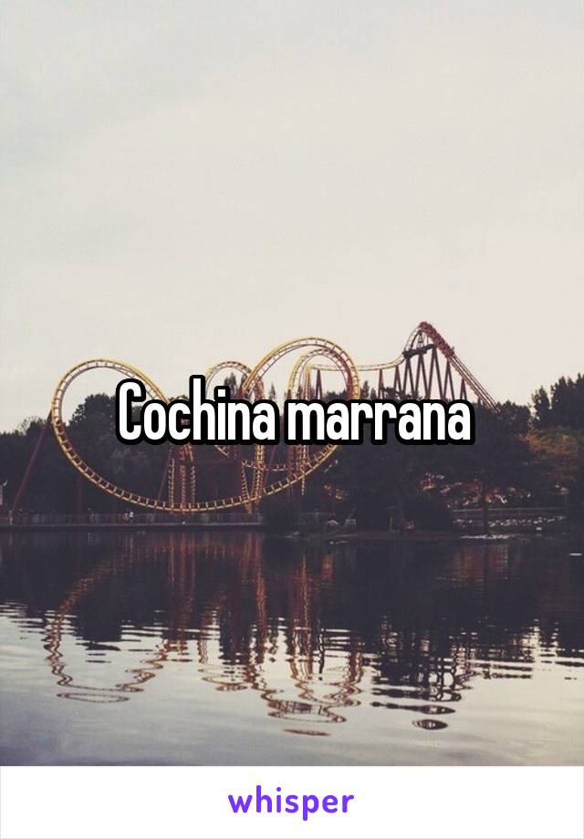 Cochina marrana