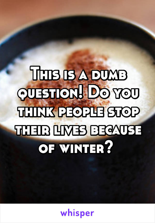 This is a dumb question! Do you think people stop their lives because of winter? 