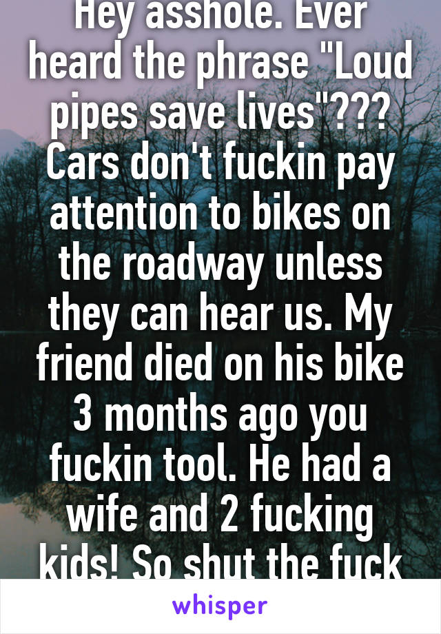 Hey asshole. Ever heard the phrase "Loud pipes save lives"??? Cars don't fuckin pay attention to bikes on the roadway unless they can hear us. My friend died on his bike 3 months ago you fuckin tool. He had a wife and 2 fucking kids! So shut the fuck up. 