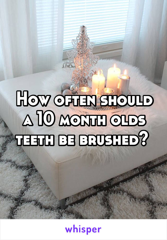 How often should a 10 month olds teeth be brushed? 