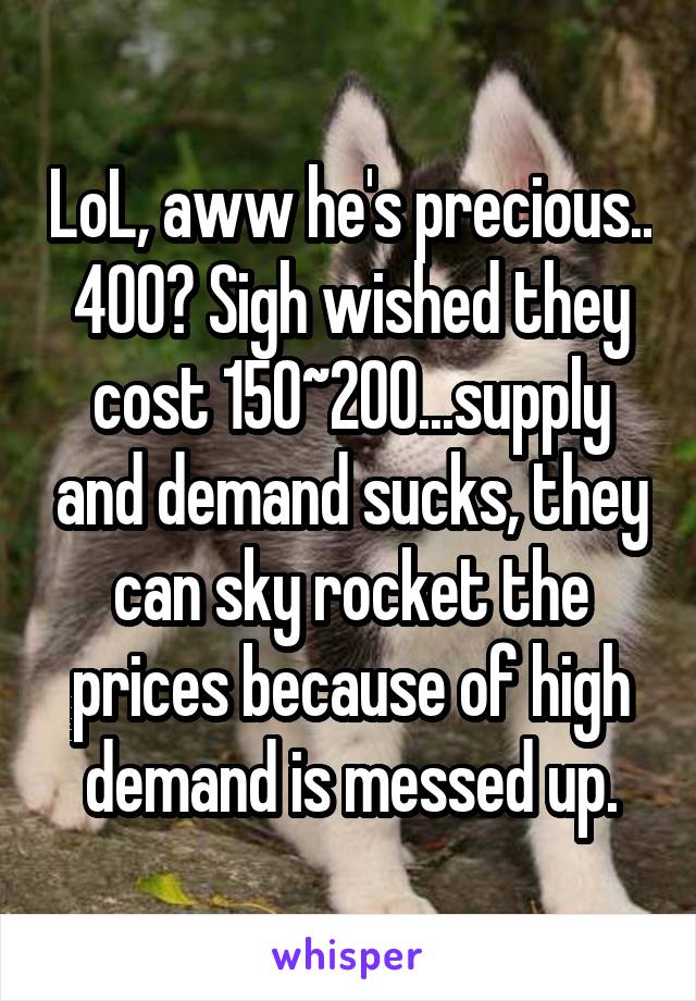 LoL, aww he's precious.. 400? Sigh wished they cost 150~200...supply and demand sucks, they can sky rocket the prices because of high demand is messed up.