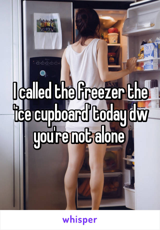 I called the freezer the 'ice cupboard' today dw you're not alone 