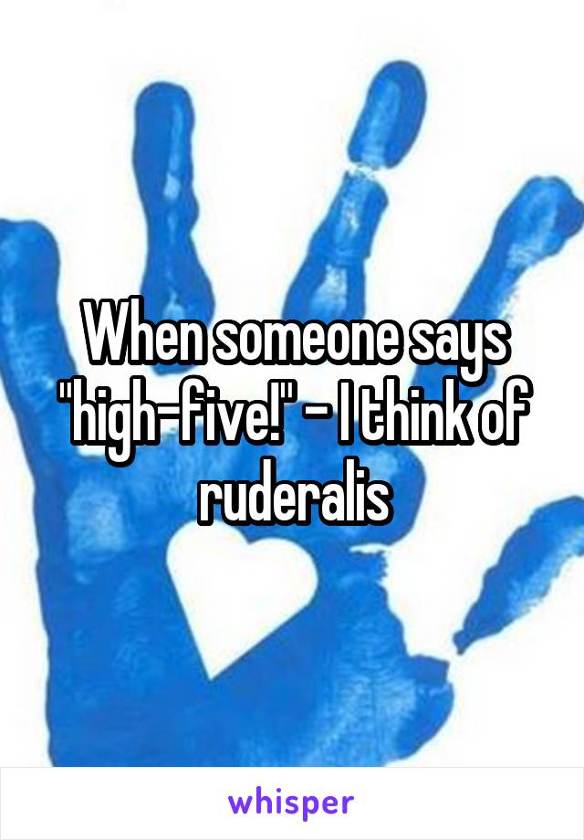 When someone says "high-five!" - I think of ruderalis