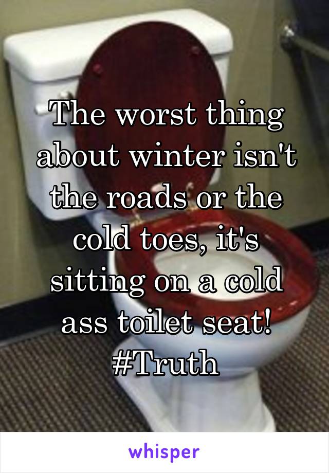 The worst thing about winter isn't the roads or the cold toes, it's sitting on a cold ass toilet seat!
#Truth