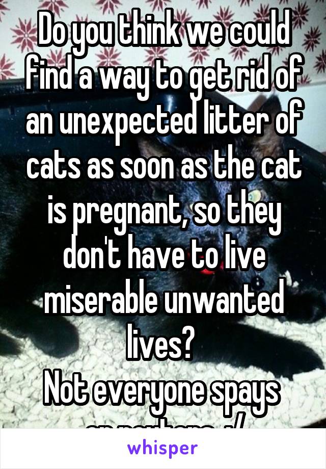 Do you think we could find a way to get rid of an unexpected litter of cats as soon as the cat is pregnant, so they don't have to live miserable unwanted lives? 
Not everyone spays 
or neuters. :/