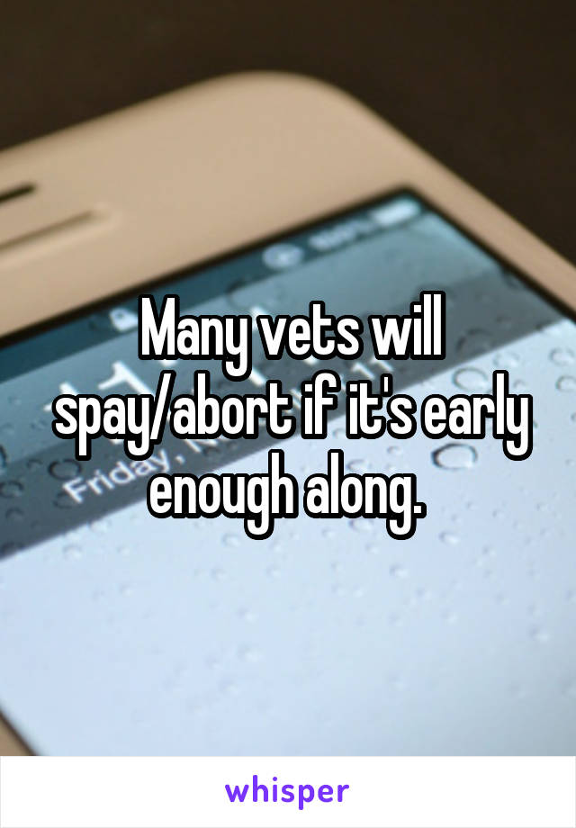 Many vets will spay/abort if it's early enough along. 