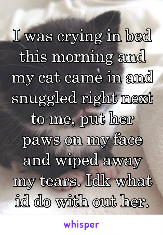 I was crying in bed this morning and my cat came in and snuggled right next to me, put her paws on my face and wiped away my tears. Idk what id do with out her.