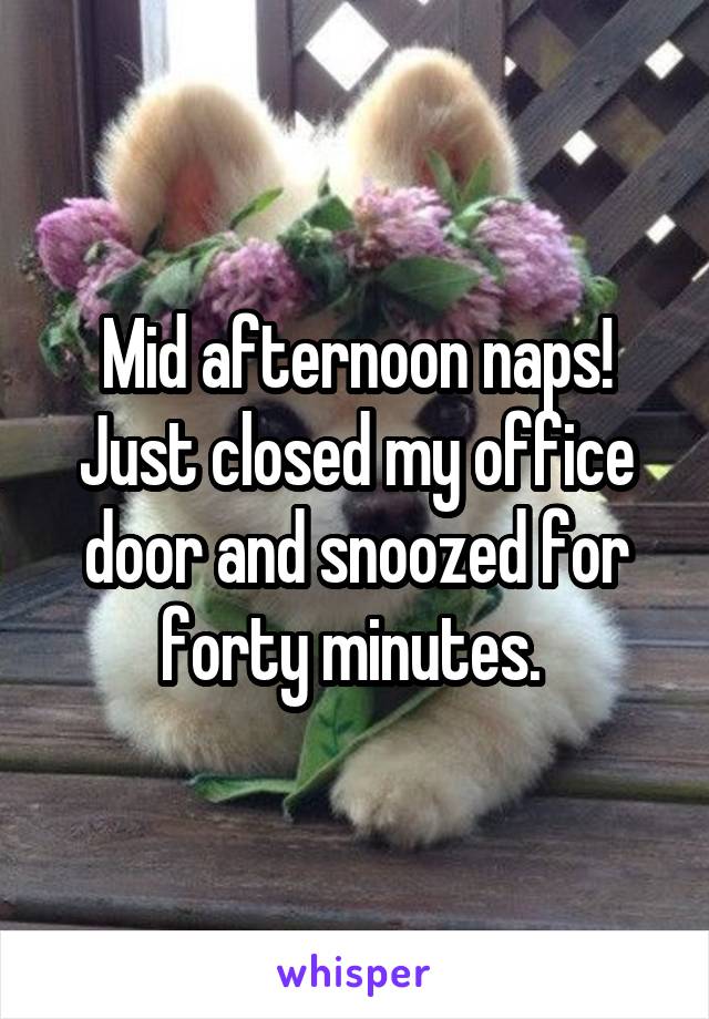 Mid afternoon naps!
Just closed my office door and snoozed for forty minutes. 