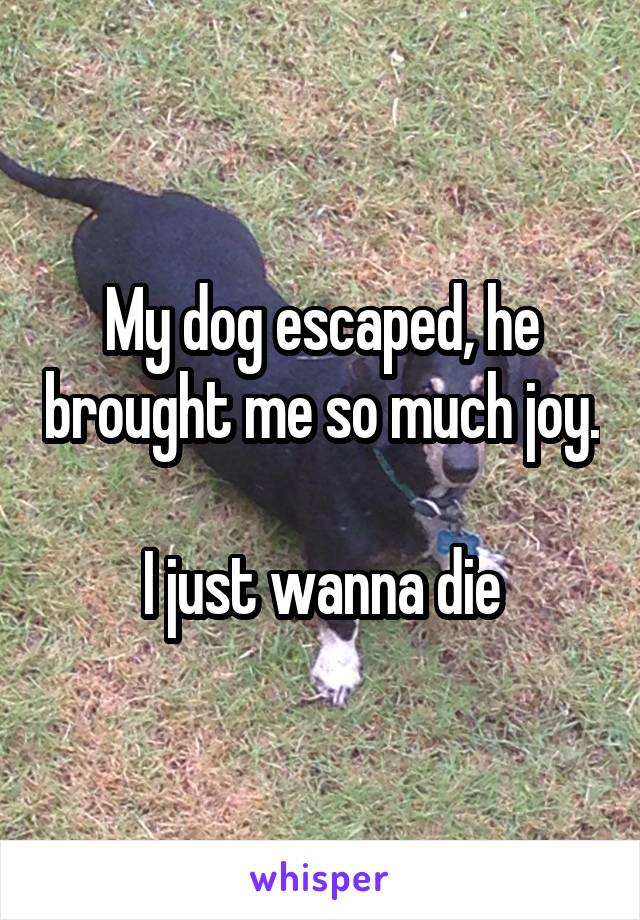 My dog escaped, he brought me so much joy. 
I just wanna die