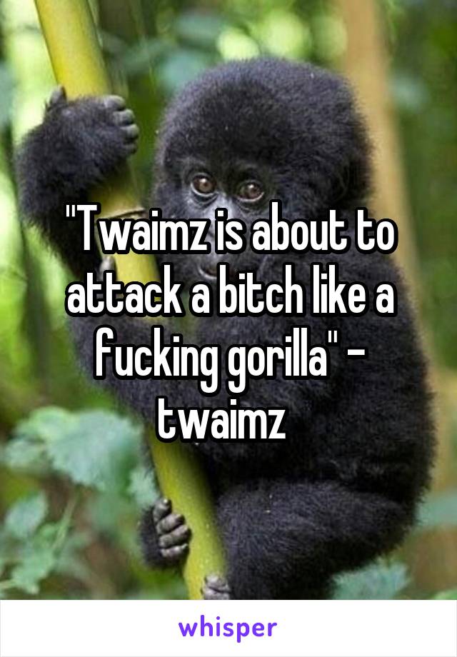 "Twaimz is about to attack a bitch like a fucking gorilla" - twaimz  