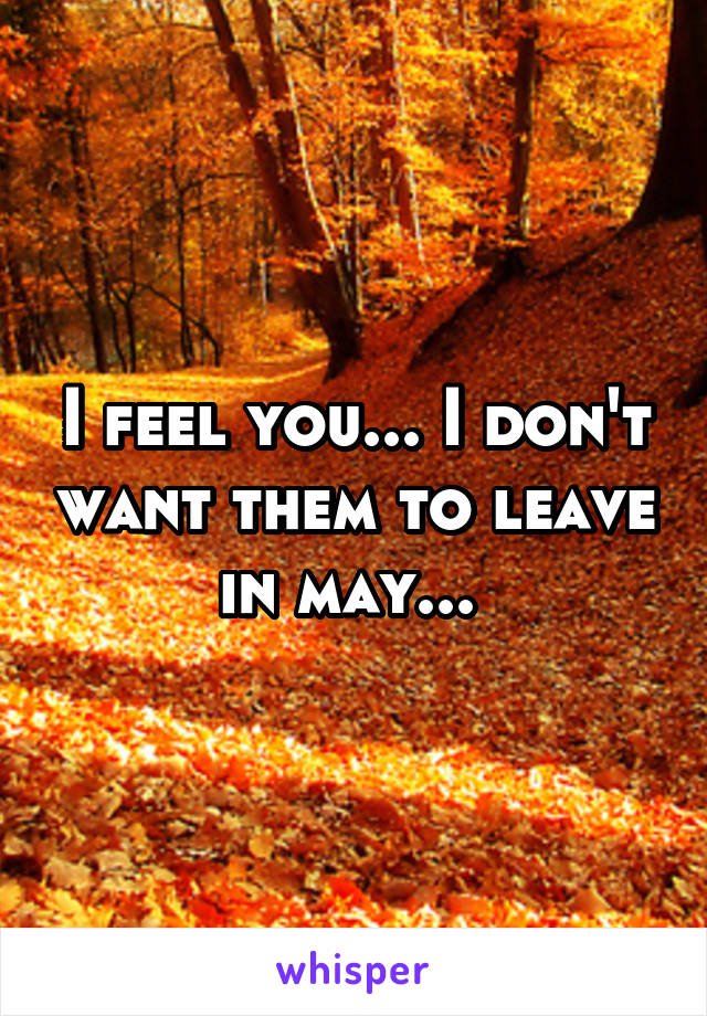 I feel you... I don't want them to leave in may... 