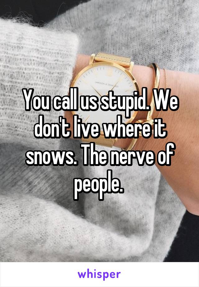 You call us stupid. We don't live where it snows. The nerve of people. 