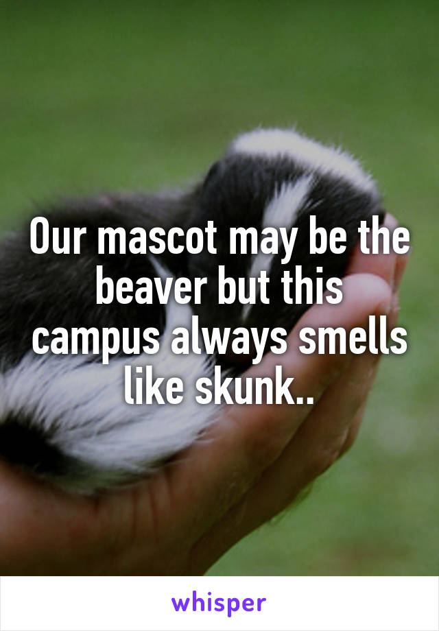 Our mascot may be the beaver but this campus always smells like skunk..