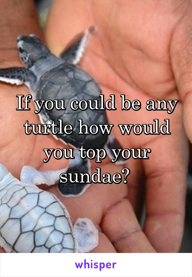 If you could be any turtle how would you top your sundae? 