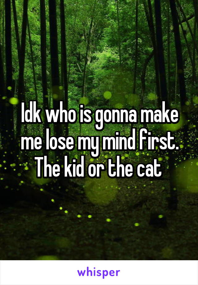 Idk who is gonna make me lose my mind first. The kid or the cat 