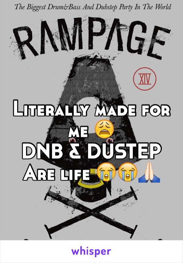 Literally made for me 😩
DNB & DUSTEP 
Are life 😭😭🙏🏻